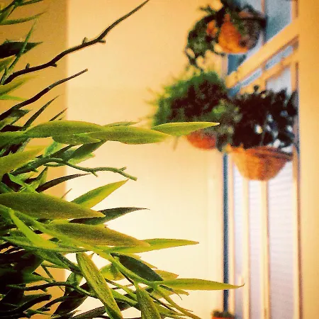 Bed & Breakfast Casa Mia