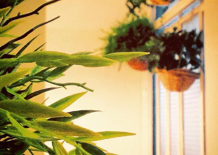 Bed & Breakfast Casa Mia