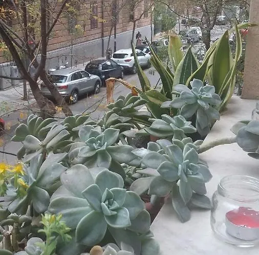 Bed & Breakfast Casa Mia 2*